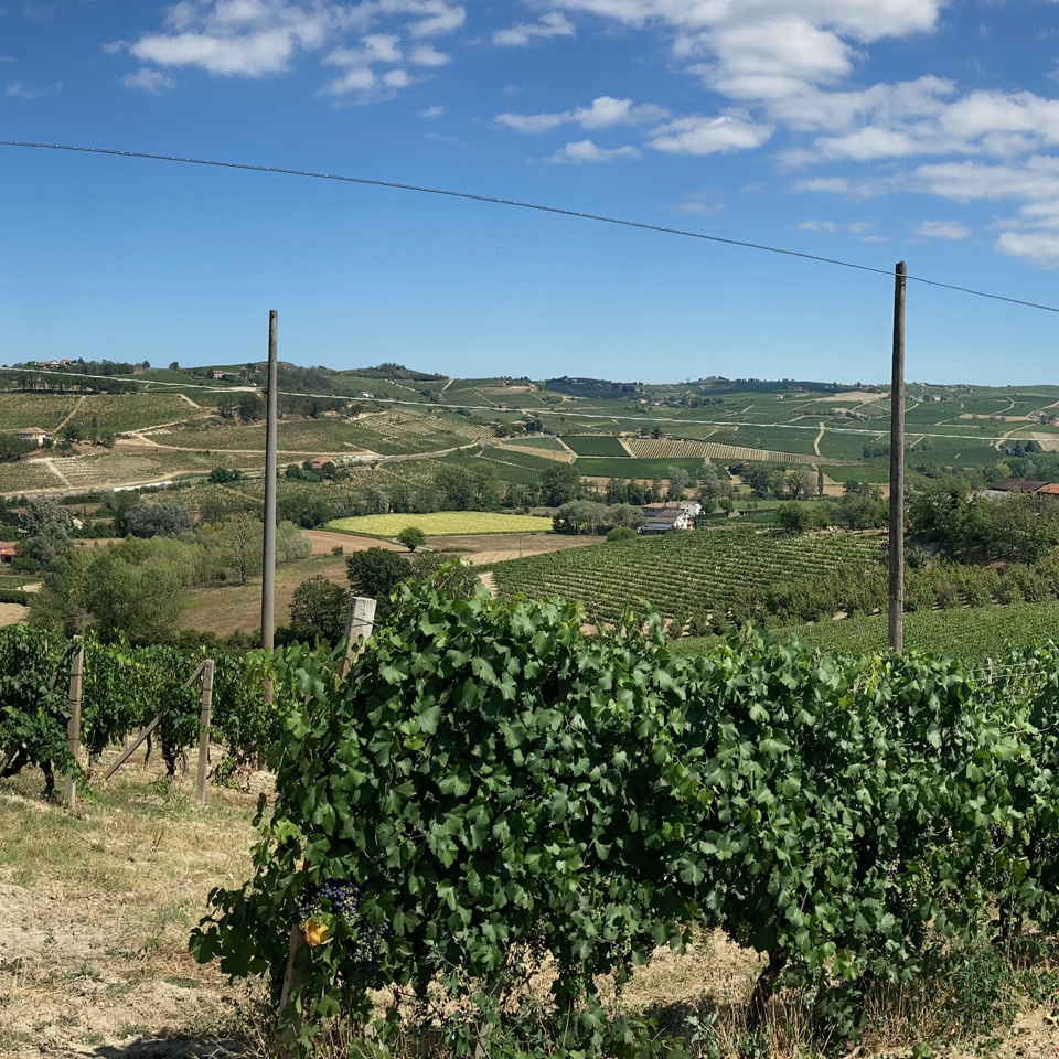Cantina Außen Ansicht